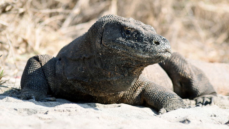 Still image for Mysterious Planet season 1 episode 1: Islands of the Dragon King Still image for Mysterious Planet season 1 episode 1: Islands of the Dragon King