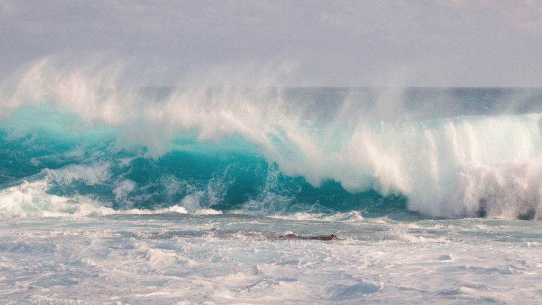 Gallery image from r0zaEO76zPUmcbMulRR1EFTYevg.jpg