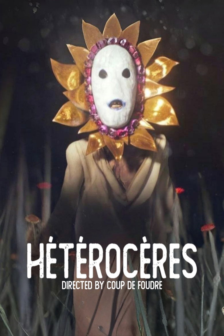 Imatge de HÉTÉROCÈRES