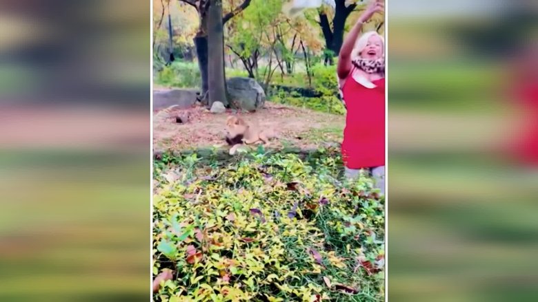 Still image for My Strange Arrest season 1 episode 4: Lion Lady Still image for My Strange Arrest season 1 episode 4: Lion Lady