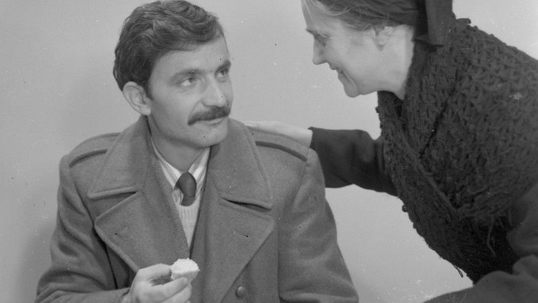 Image d'arrière-plan 1 du film Përballimi