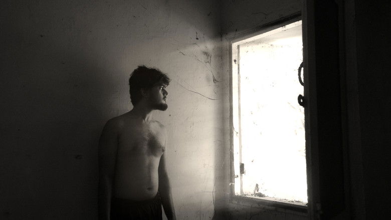 Imatge de A Fly Floating In The Midst Of The Milk