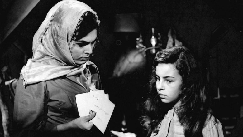 The Wren (1966)