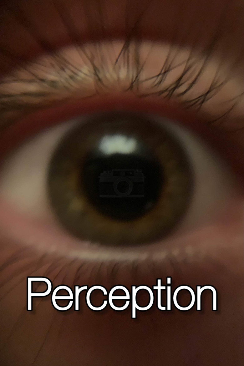 Imatge de Perception