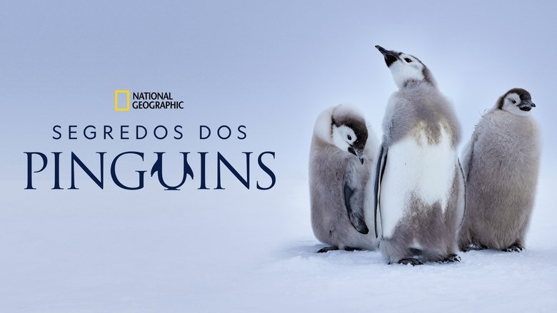 Gallery image from r4CJZPFkl83LLgp3br8xMhOMFBk.jpg