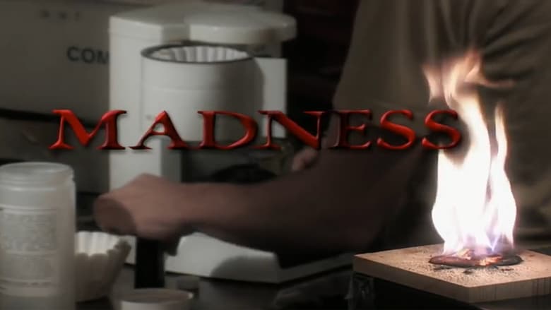 Madness movie poster