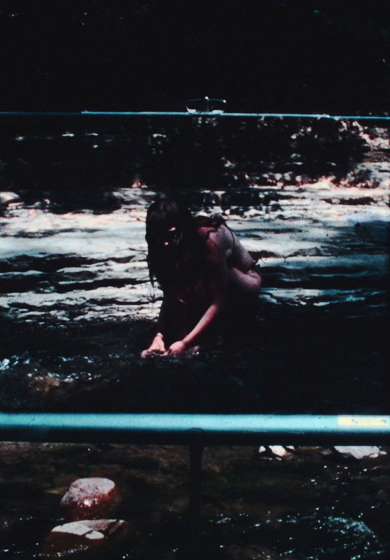 Imatge de some brief notes on beauty and being