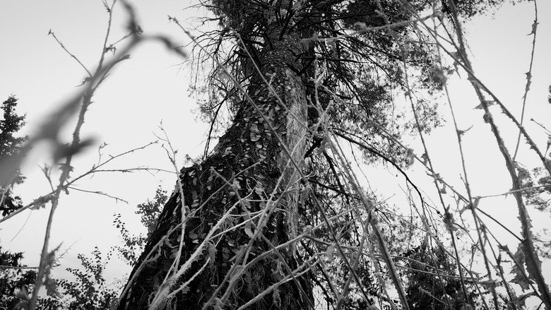 ESTRATOSIS still 1