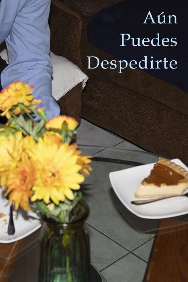 Imatge de Aún puedes despedirte