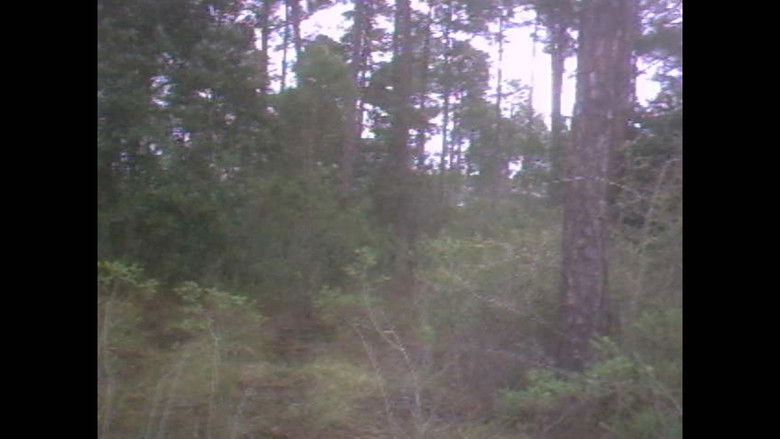 Past & Present Memories