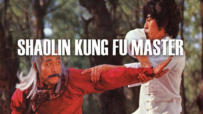Shaolin Kung Fu Master image 2