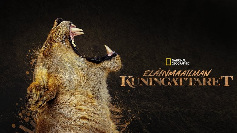 Gallery image from r8ZwwQbkLtjkXHlhlUThCia8s1g.jpg