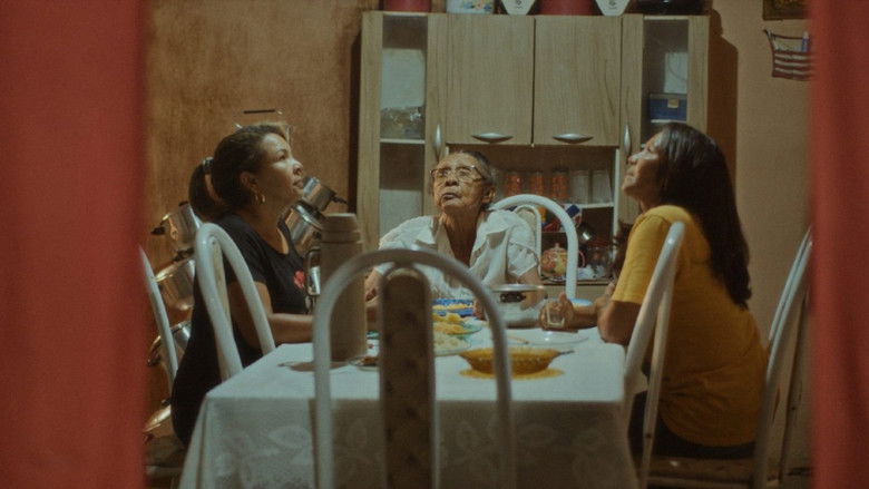 Imatge de A Nave Que Nunca Pousa