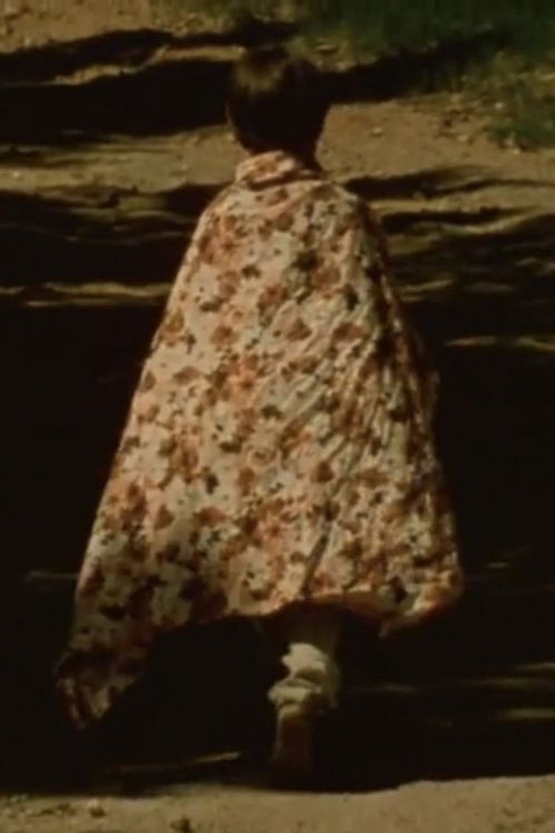 Imatge de Star Garden