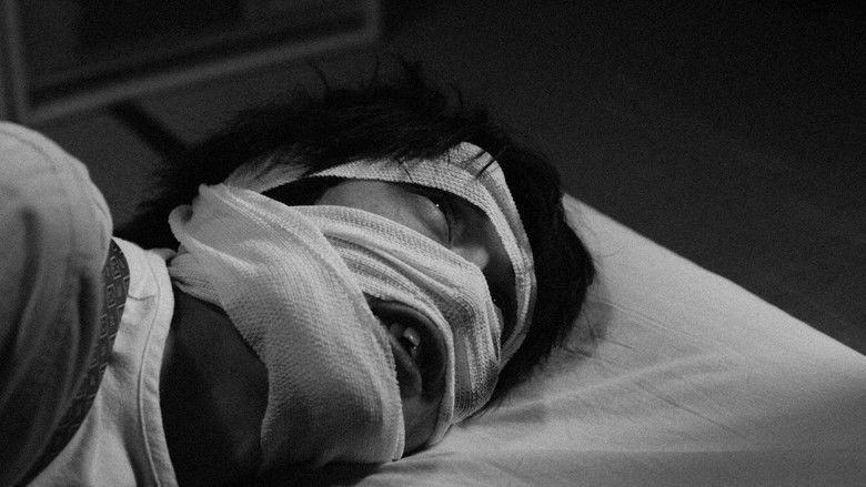 Oscillation — scene 1