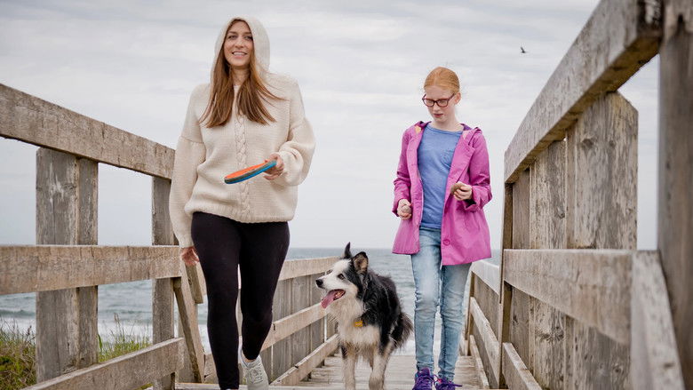 Spinster 2020 720p dual audio