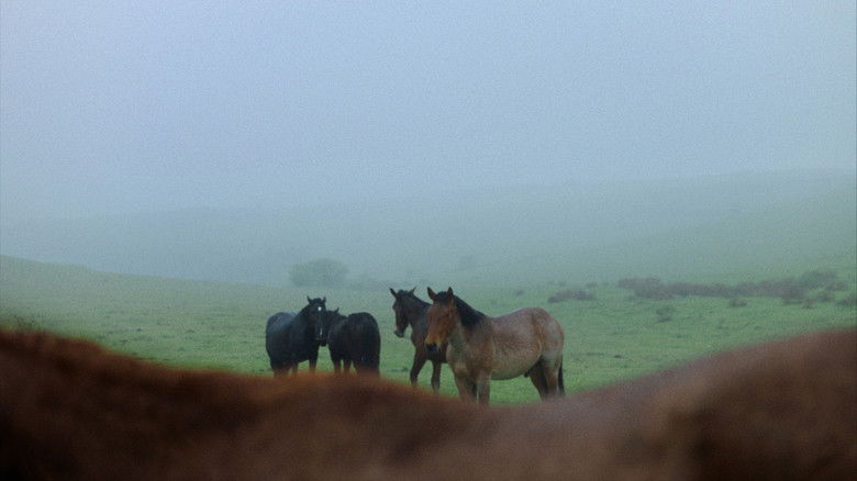 Silent Observers (2025)