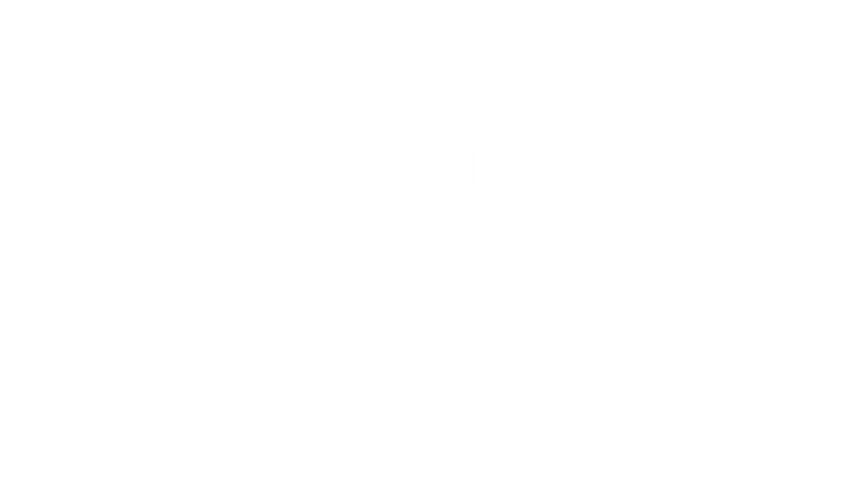 Agatha and the Midnight Murders