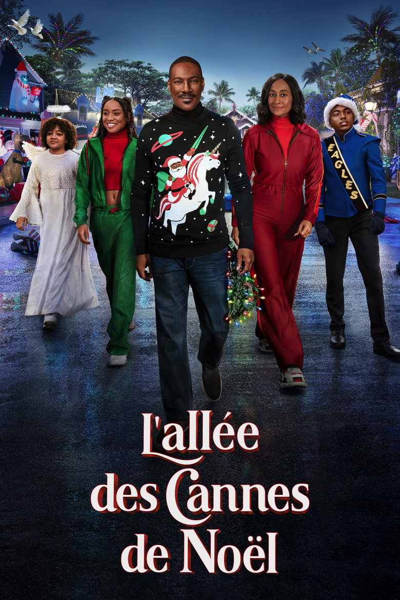Póster la Película