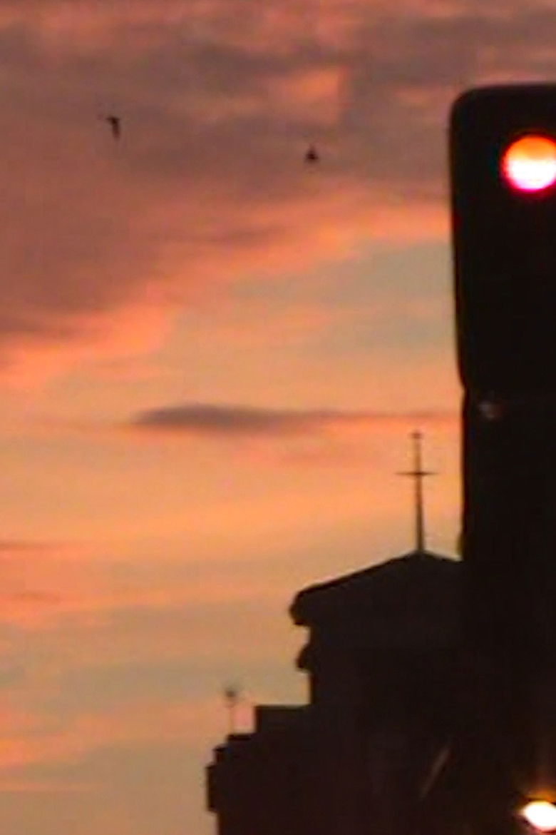 Imatge de Películas de carretera. El tráfico u otras formas de organizar la vida