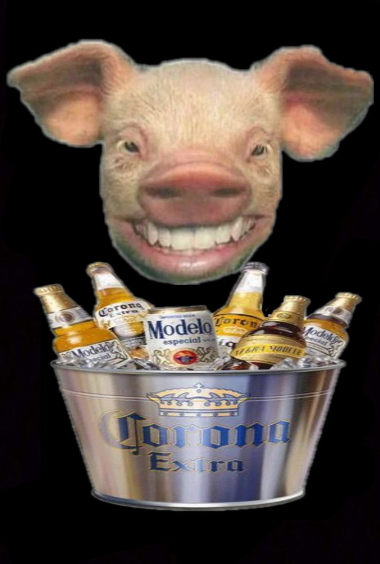 Imatge de Meet the Pigs