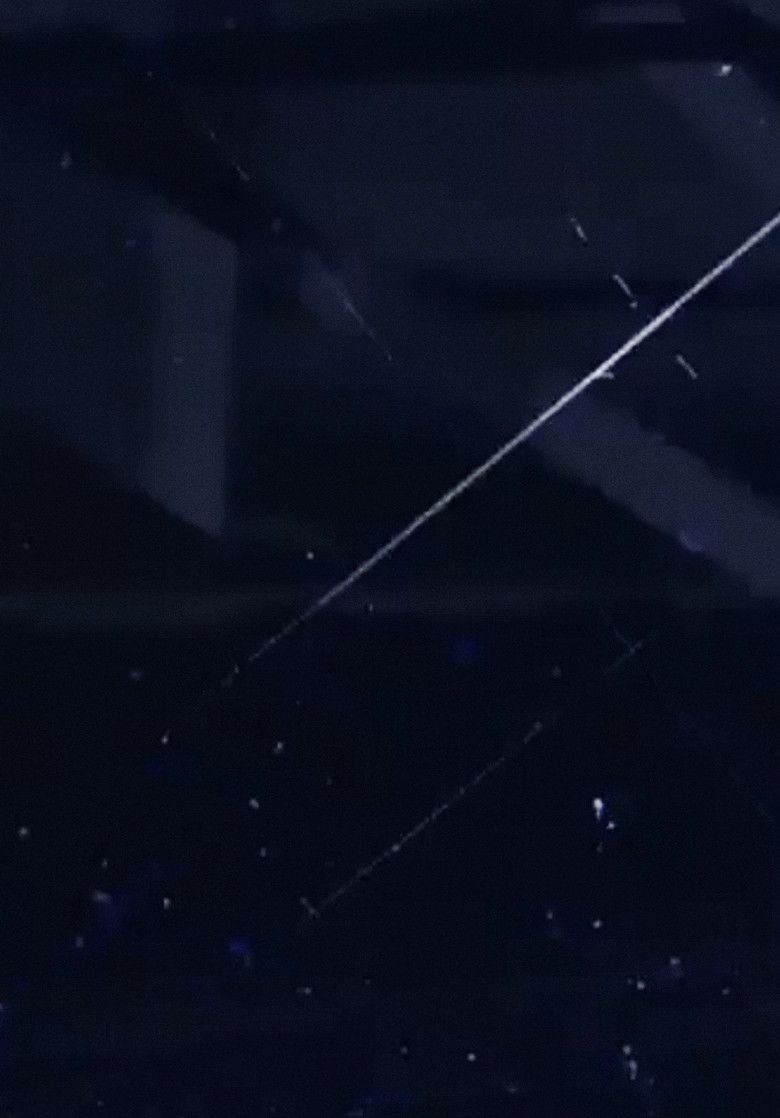 Imatge de The Seasons