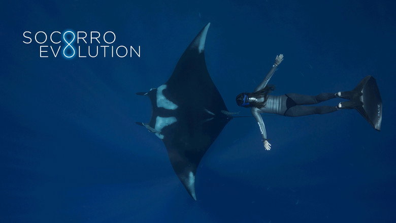 Socorro Evolution galeri 2