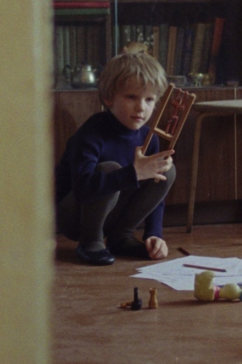 Dēls jeb kaleidoskops (2019)