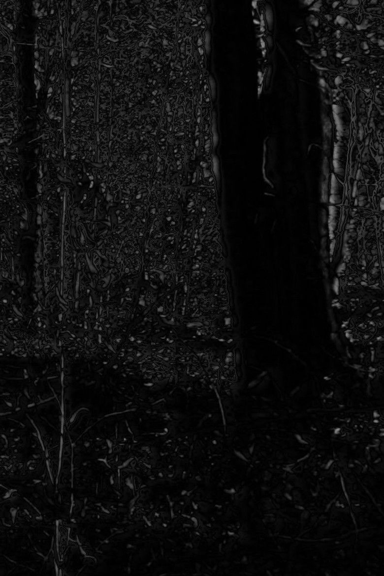 Imatge de Phosphenes II