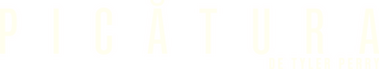 Backdrop
