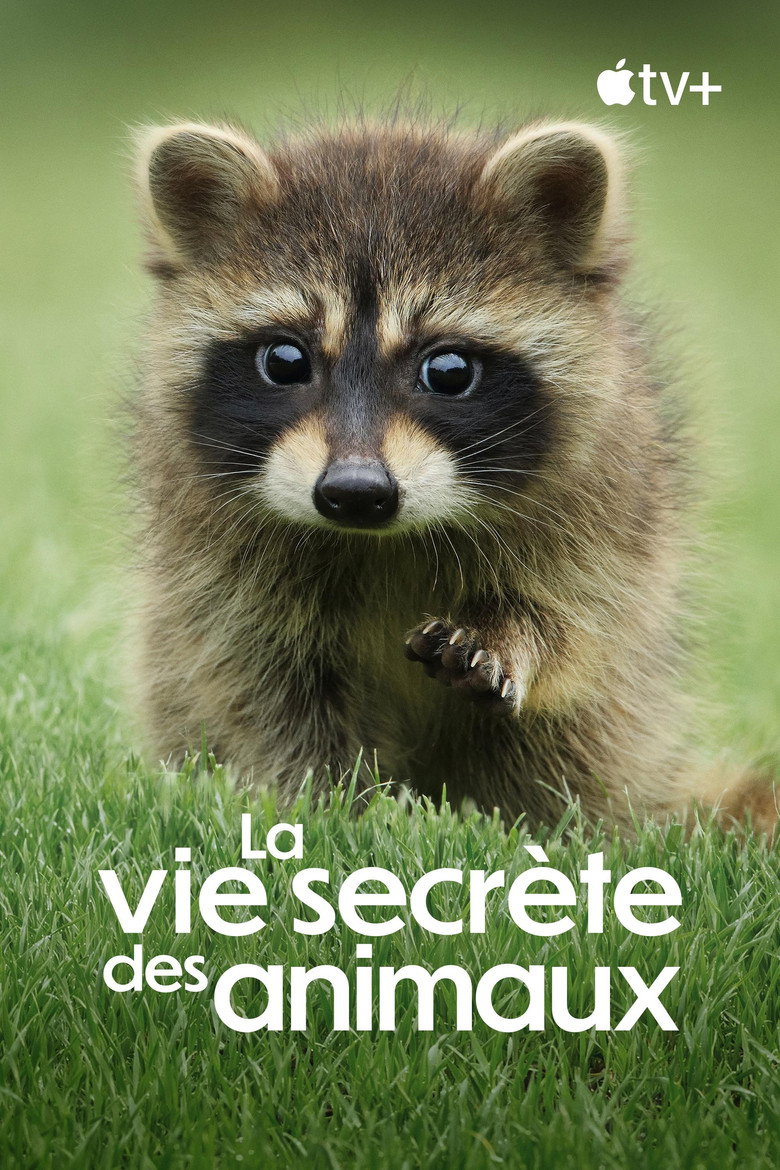 Póster la Serie