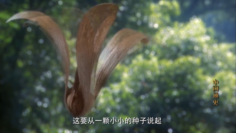 Still image for General History of China season 1 episode 3: Episode 3