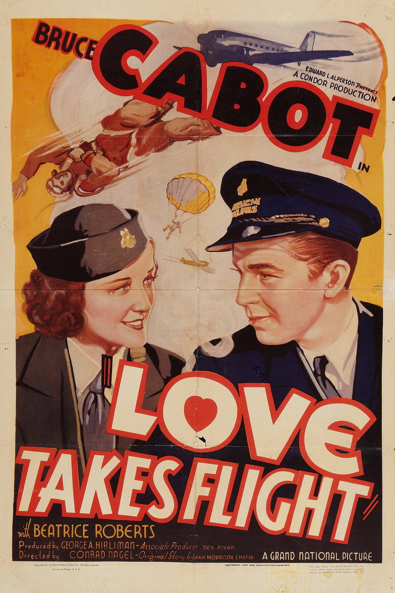 Affiche de LOVE TAKES FLIGHT