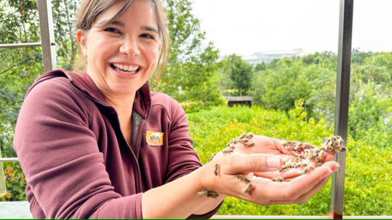 Still image for Anna und die wilden Tiere season 1 episode 112: Episode 112 Still image for Anna und die wilden Tiere season 1 episode 112: Episode 112