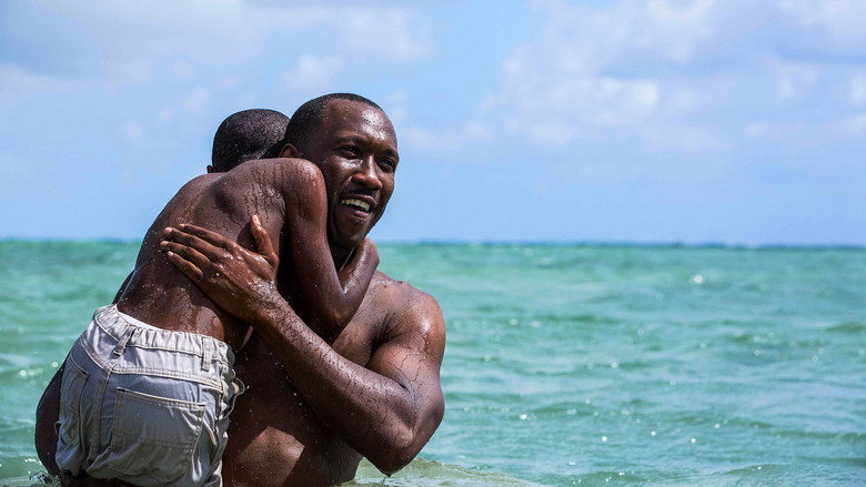 Moonlight: Sob a Luz do Luar - Backdrop alternativo 6