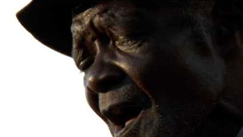 Gallery image from rL9vF5SsZnLBjoGzgW2PkBDrv8J.jpg