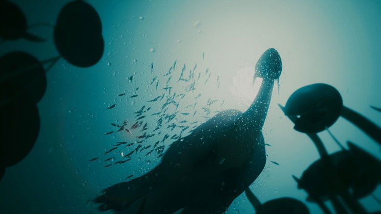 Nessie Junior Photo 2