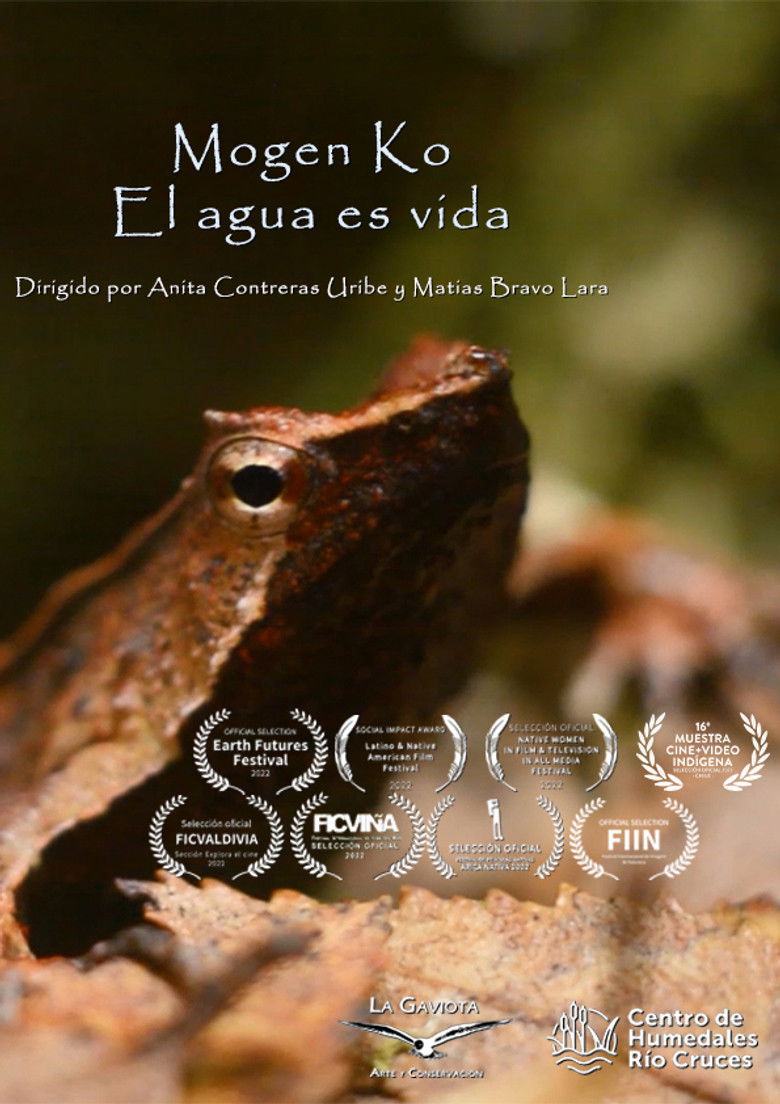 Imatge de L'aigua és vida