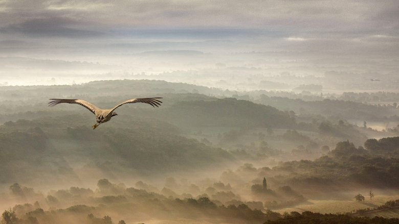 Les saisons en streaming