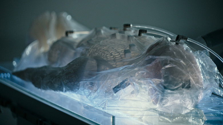 Gallery image from rPDt8kXphXKqDyFcQbaP8ESSQia.jpg