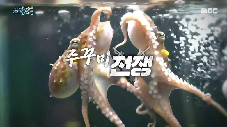 Still image for 실화탐사대 season 1 episode 333: Episode 333