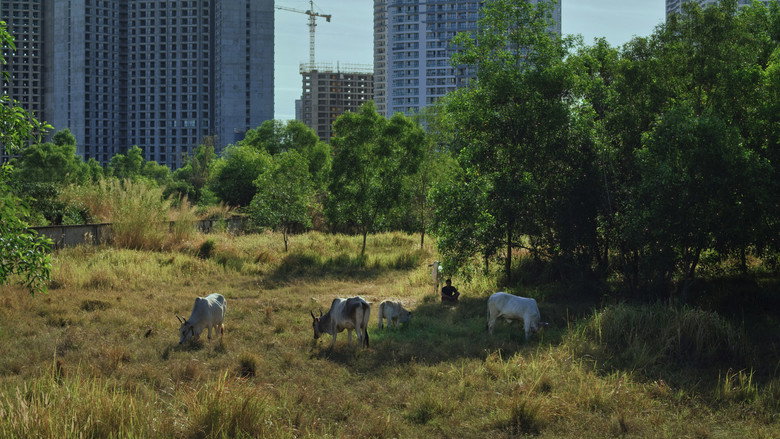 Frame from Promised Spaces