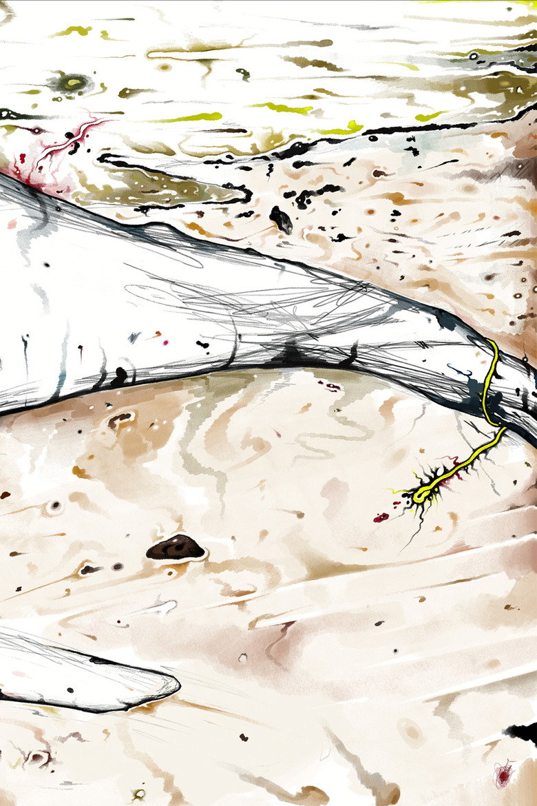 Imatge de In Our Hands