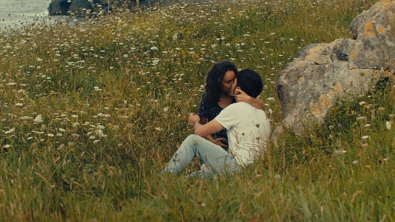 Notes on a Summer (2023)