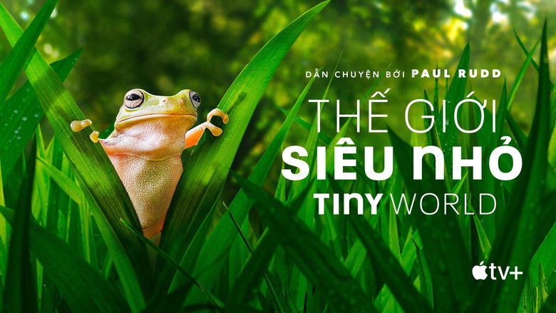 Gallery image from rQ4OAx92pg2tIJEXCr2R9t3Gpok.jpg