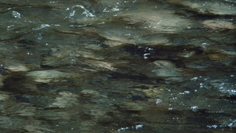 Scene still 8 from A River Runs Through It