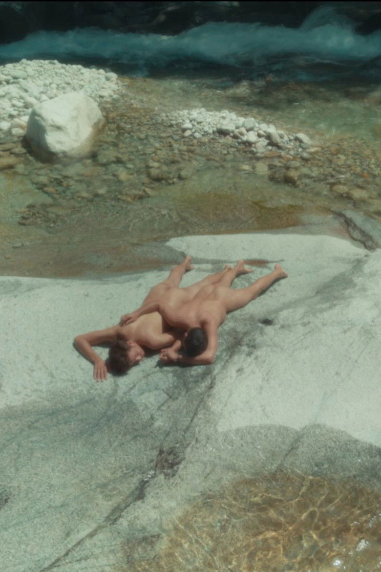 Imatge de En meute ou solitaire