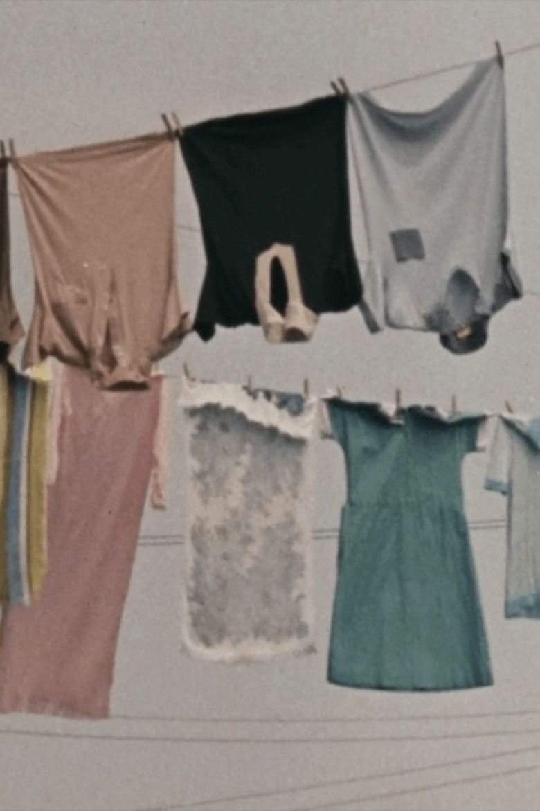 Imatge de Clotheslines