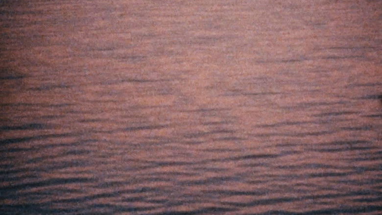 Gallery image from rRFxr9DOd5004fsgALtgT8hIfPl.jpg