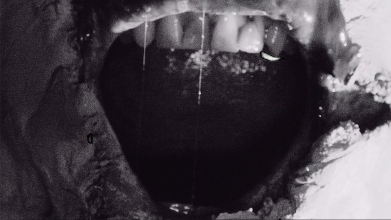 Gallery image from rRh4iZCUtgZUETf3EhevBmfXGwH.jpg